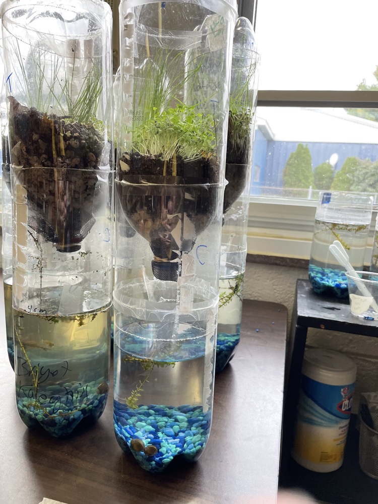 Aquarium/Terrarium = Ecocolum | United Elementary