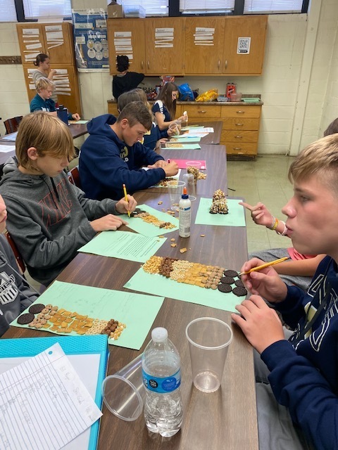Students working on their Cereal soil horizon 
