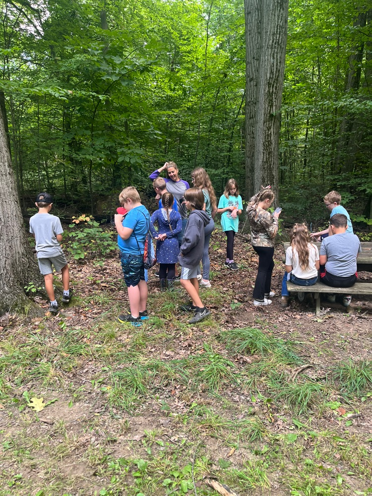 Students outside in groups